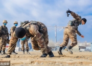 开云体育登录-关于骄阳下的战斗：运动员汗流浃背奋勇拼搏的信息