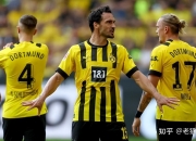 开云体育登录-多特蒙德绝杀曼城，马丁内利惊艳四座的简单介绍