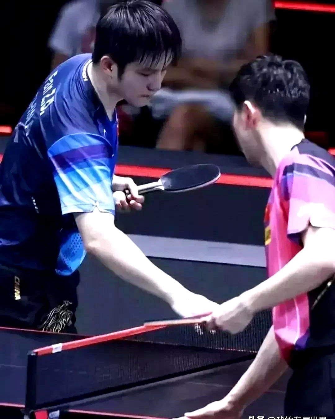 关于日本乒乓球队险胜比利时乒乓球队，马龙绝境逆转的信息