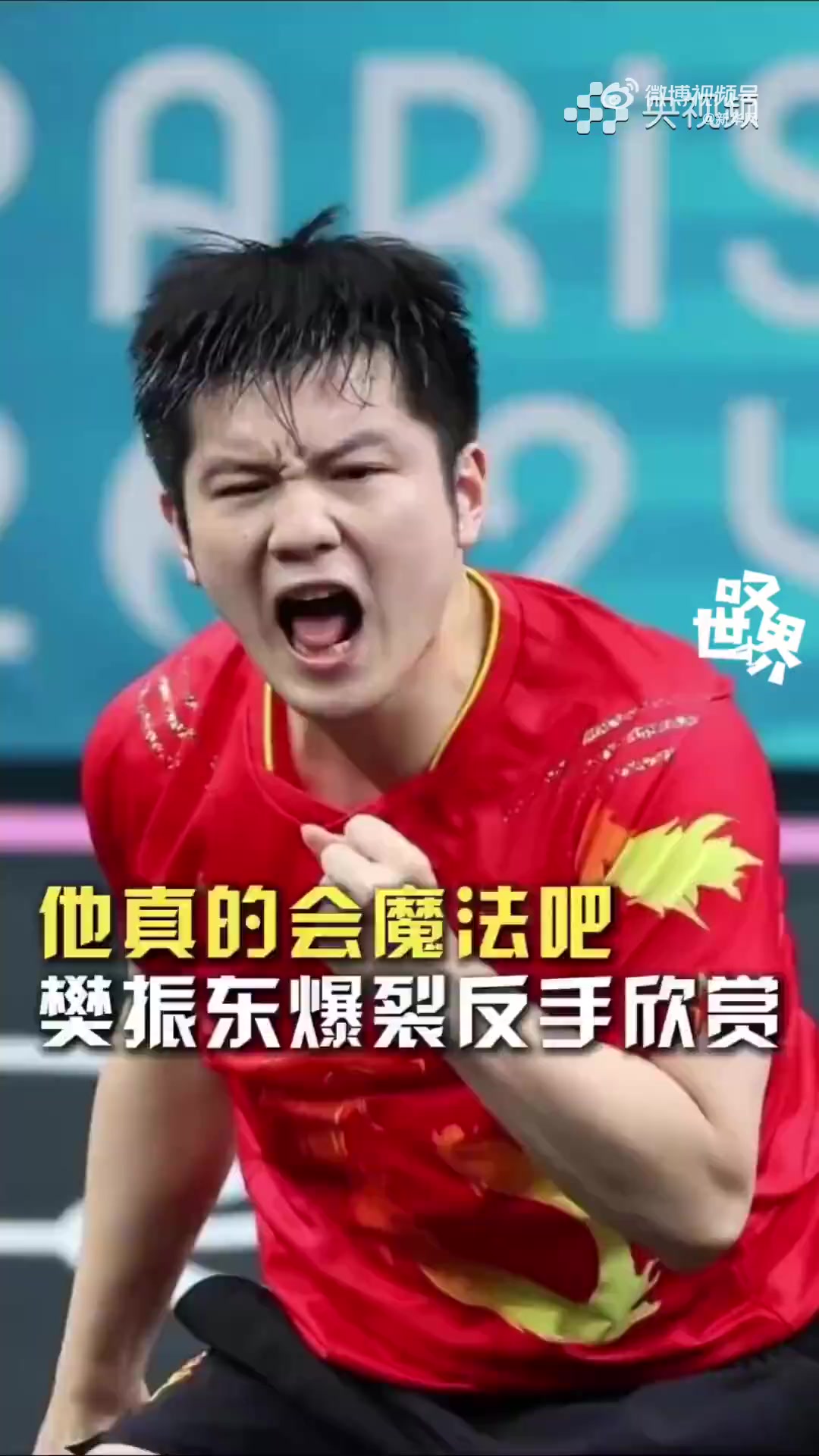 关于中国乒乓球队绝地反击法国乒乓球队，樊振东制霸全场的信息