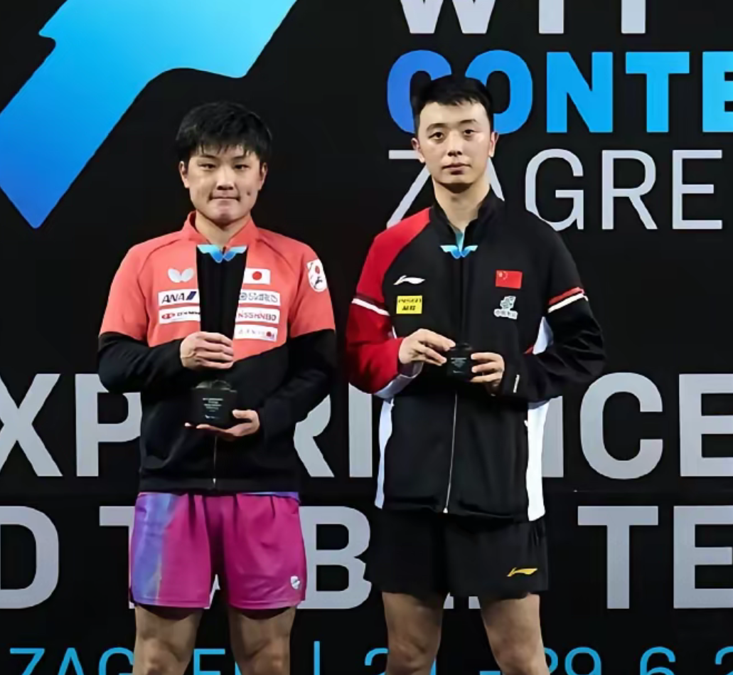 包含中国队力克瑞典队，张本智和惊艳四座的词条