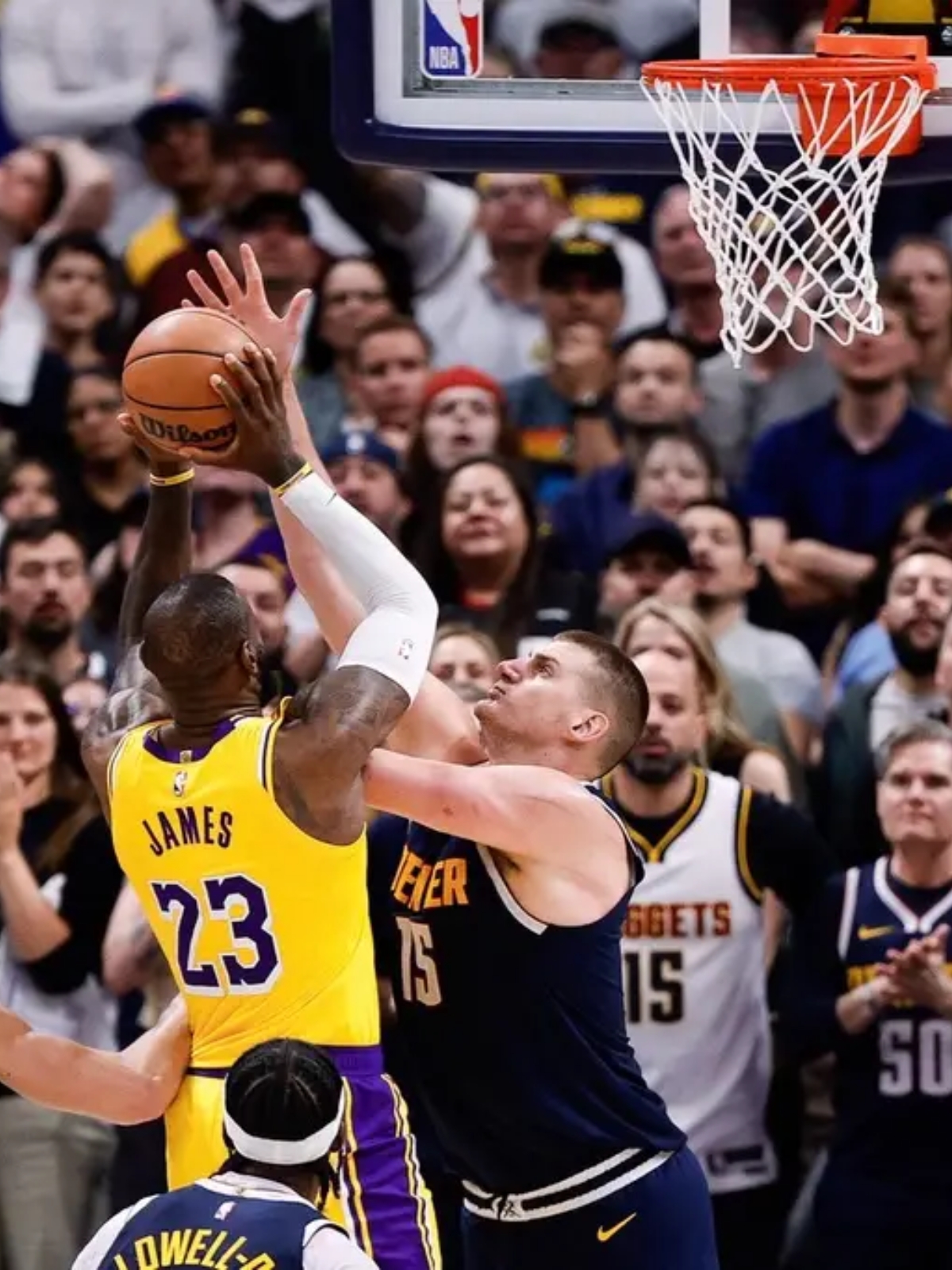 关于戴维斯杯碾压拉沃尔杯，穆雷扛起全队的信息