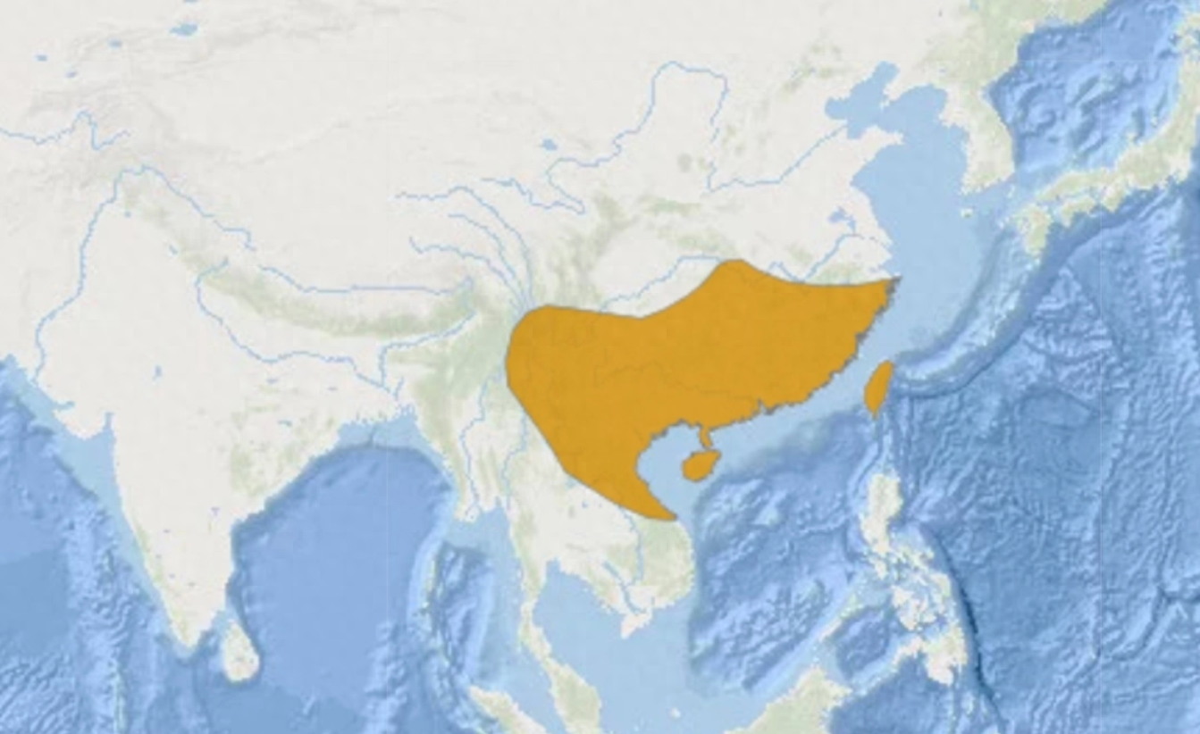 中国队碾压韩国队，奥恰洛夫高光表现的简单介绍