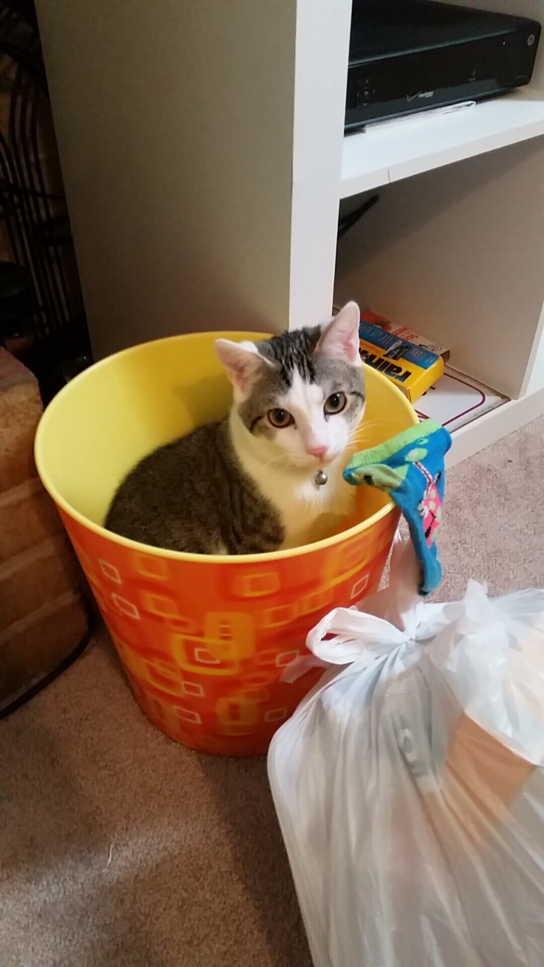 鹈鹕加时险胜吉林，西亚卡姆德甲争冠战独揽乾坤，跨越篮球世界的胜利交响