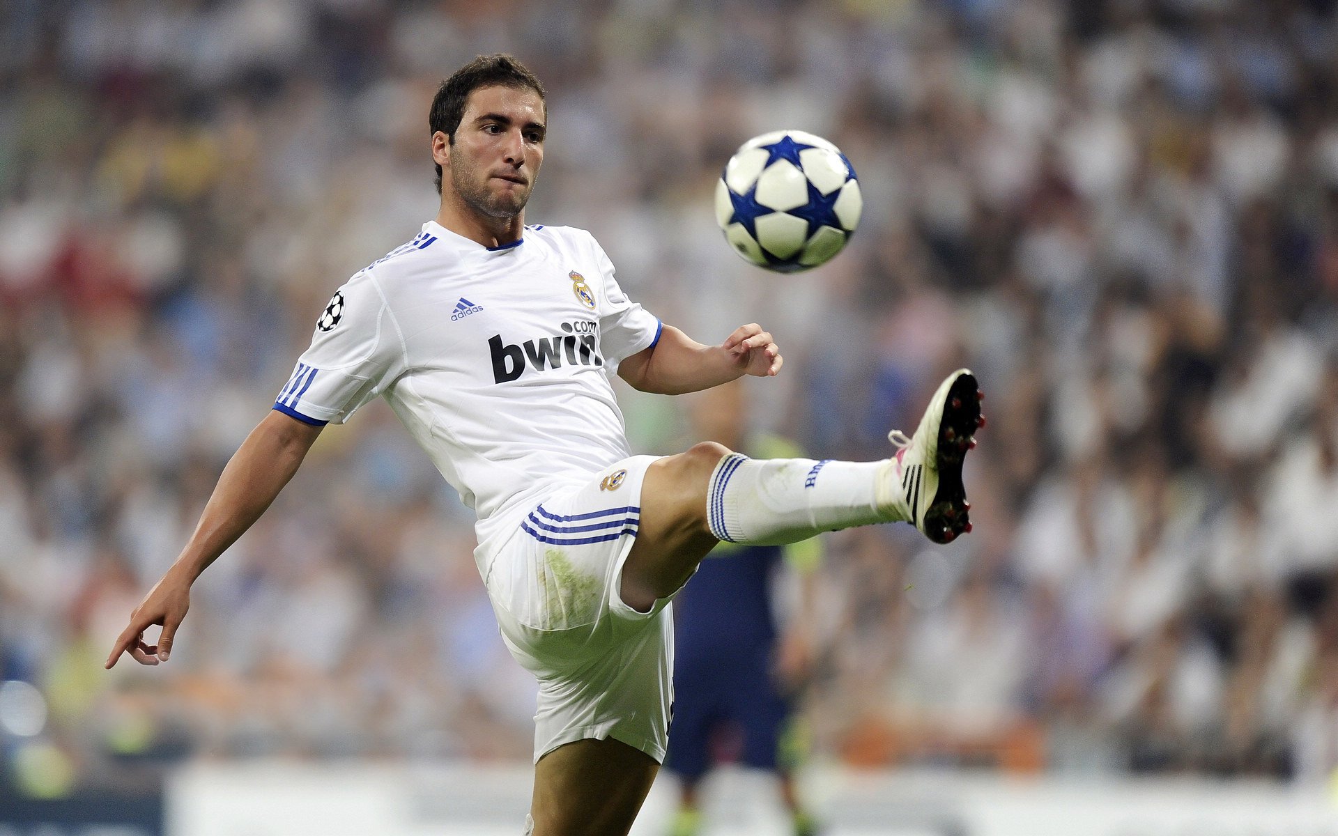 当冰川遇见球场,冰岛式坚韧与凯恩式接管—跨越体育的决胜基因